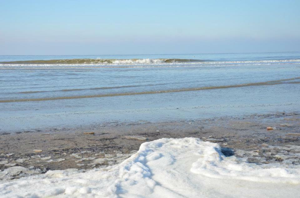 Pension 'T Hofje 350 Meter Van Het Strand Noordwijk Dış mekan fotoğraf
